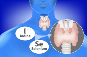 selenium jodium