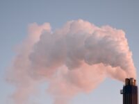 Microbioom beïnvloedt toxiciteit van milieuvervuilende stoffen