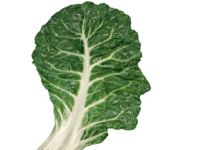 Hogere magnesiuminname al op jonge leeftijd neuroprotectief