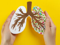 Netwerk van antioxidanten beschermt tegen longkanker