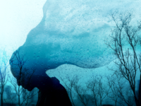 Voedingsdeficiënties en het risico op depressie