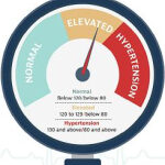 Folaat verlaagt de bloeddruk
