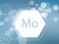 Invloed van molybdeen op botmetabolisme