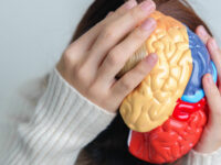 Probiotica beschermen de hersenen via tryptofaanmetaboliet