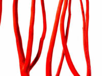 Vitamine B6: minder AGE’s, betere bloedvaten