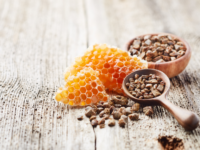 Propolis als adjuvans bij blaasontsteking