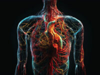 Vitamine K tegen vasculaire calcificatie