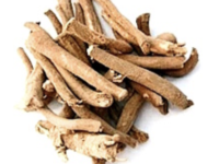 Ashwagandha helpt bij vermoeidheid, niet bij stress