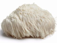 Sneller reageren met minder stress door Lion’s mane