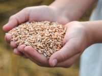 Volkoren voor kinderen