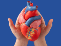 Macronutriënten en het risico op hart- en vaatziekten