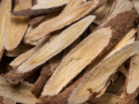 Heeft Astragalus ook positieve effecten op diabetes type 2?