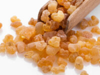 Boswellia remt groei van borstkanker