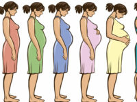 Maternale prebiotica gunstig voor darmgezondheid moeder en kind