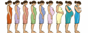 supplementation-pregnancy