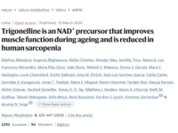 Trigonelline houdt je fit en sterk als de jaren klimmen