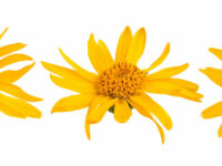 Antioxidanten verminderen rosacea