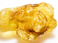 Fytotherapie om prostaatbiopsie te vermijden