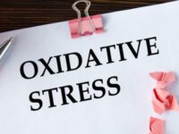 Interventies voor hormoongerelateerde oxidatieve stress