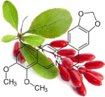 berberine-bloedsuikerregulator
