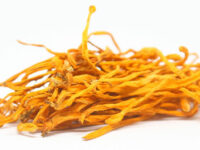 Cordyceps-schimmel voor sterkere afweer