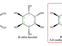 De antidiabete werking van 600 milligram D-pinitol per dag