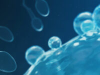 Antioxidant-enzym in de behandeling van onvruchtbaarheid