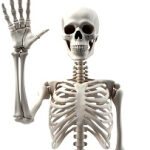 Sterke botten met choline