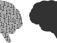 FOS en theanine verbeteren geheugen