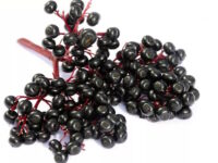 Griep sneller over door suppletie met vlierbessen