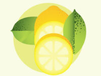 Citrusflavonoïden voor een gezonder metabolisme