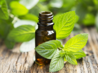 Pepermuntolie vermindert misselijkheid na operatie