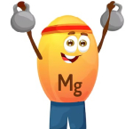 Magnesiumsuppletie-sporten