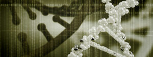 dna-schade_0