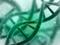 Goede magnesiumstatus verlaagt kans op DNA-schade