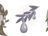 Olijfbladextract verbetert postmenopauzale symptomen