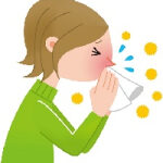 Combinatie ui en knoflook houdt griep en verkoudheid buiten de deur