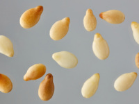 Regelmatig sesam eten helpt risico op sarcopenie verminderen