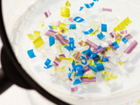 Lycopeen en EGCG tegen microplastics