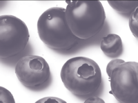 Dagelijkse bessenconsumptie goed voor de darmen