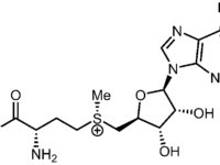 Ondergemethyleerde depressie