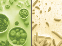 Voeding beïnvloedt gezondheid sneller dan gedacht