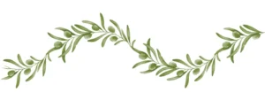 Olijfblad