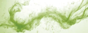 Silicium