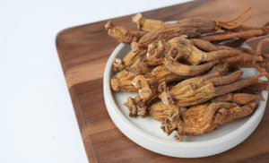 7434_rode_panax_ginseng1606-web
