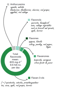 diversity-flavonoids-4