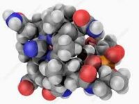 Vitamine B12 mogelijk nuttige biomarker bij autisme