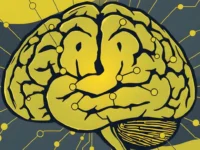 Verbetert creatine cognitie bij de ziekte van Alzheimer?