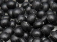 Zwarte soja verlaagt AGE’s