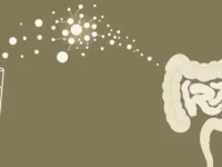 Invloed van kefir op microbiota